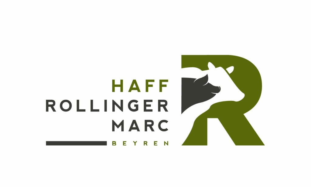 HAFF ROLLINGER Marc | Logo | - IP PRODUCTIONS
